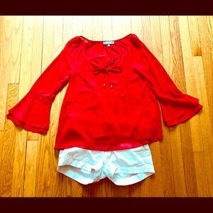 Beautiful Sheer Sleeves Top